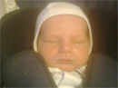 Mal� ale hlu�n� 2011: Mi�ko Bodi�
